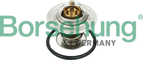 Borsehung B18268 - Thermostat d'eau cwaw.fr