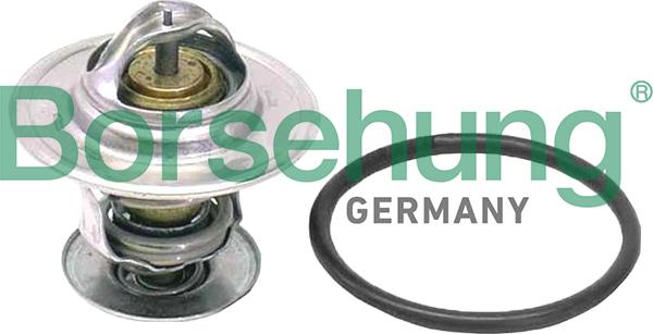 Borsehung B18262 - Thermostat d'eau cwaw.fr