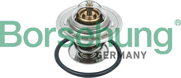 Borsehung B18234 - Thermostat d'eau cwaw.fr