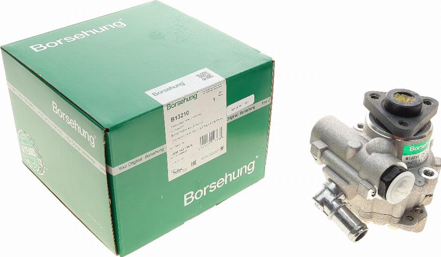 Borsehung B13210 - Pompe hydraulique, direction cwaw.fr