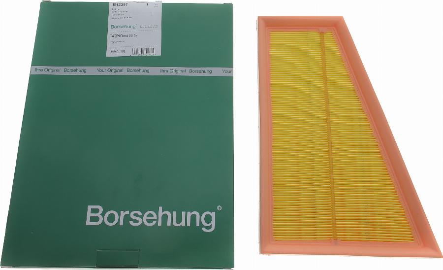 Borsehung B12397 - Filtre à air cwaw.fr