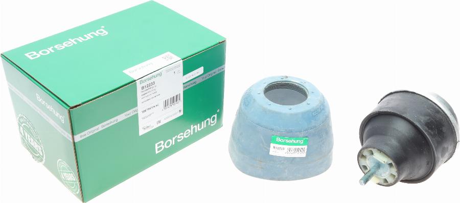 Borsehung B12233 - Support moteur cwaw.fr