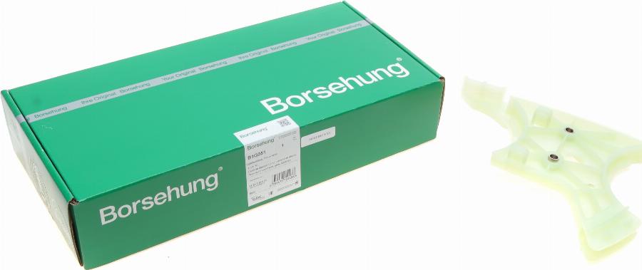 Borsehung B1G051 - Coulisse, chaîne de distribution cwaw.fr