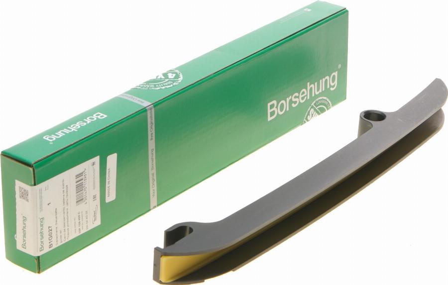 Borsehung B1G027 - Coulisse, chaîne de distribution cwaw.fr