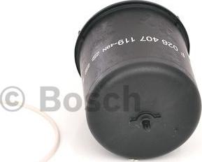 BOSCH F 026 407 119 - Filtre à huile cwaw.fr