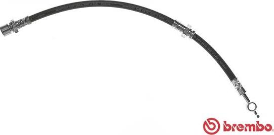 Brembo T 10 008 - Flexible de frein cwaw.fr