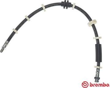 Brembo T 23 031 - Flexible de frein cwaw.fr