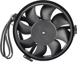 BSG BSG 90-510-013 - Ventilateur, refroidissement du moteur cwaw.fr