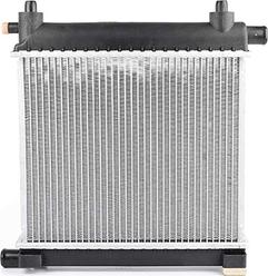 BSG BSG 60-520-017 - Radiateur, refroidissement du moteur cwaw.fr