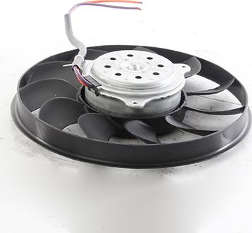 BSG BSG 11-510-001 - Ventilateur, refroidissement du moteur cwaw.fr