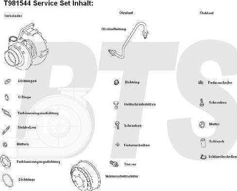 BTS Turbo T981544 - Turbocompresseur, suralimentation cwaw.fr