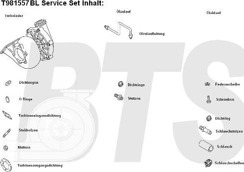 BTS Turbo T981557BL - Turbocompresseur, suralimentation cwaw.fr