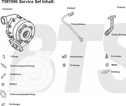 BTS Turbo T981506 - Turbocompresseur, suralimentation cwaw.fr