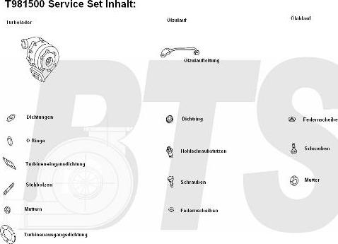 BTS Turbo T981500 - Turbocompresseur, suralimentation cwaw.fr