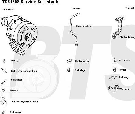 BTS Turbo T981508 - Turbocompresseur, suralimentation cwaw.fr