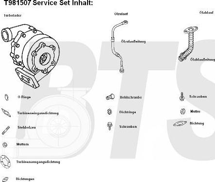 BTS Turbo T981507 - Turbocompresseur, suralimentation cwaw.fr