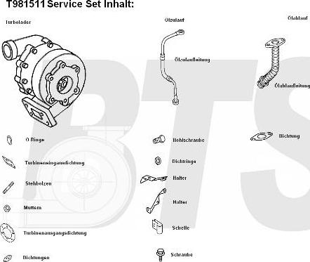 BTS Turbo T981511 - Turbocompresseur, suralimentation cwaw.fr