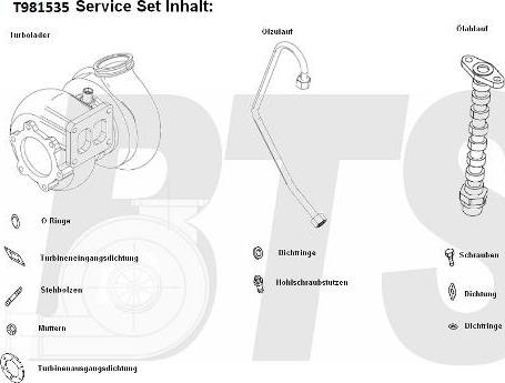 BTS Turbo T981535BL - Turbocompresseur, suralimentation cwaw.fr