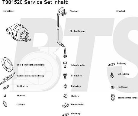 BTS Turbo T981520 - Turbocompresseur, suralimentation cwaw.fr