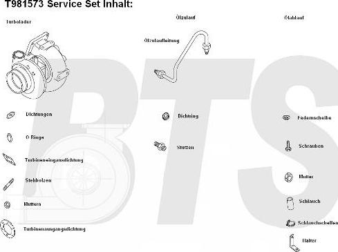 BTS Turbo T981573 - Turbocompresseur, suralimentation cwaw.fr