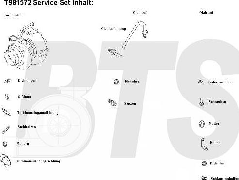 BTS Turbo T981572 - Turbocompresseur, suralimentation cwaw.fr