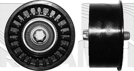 Caliber 57163 - Poulie renvoi / transmission, courroie de distribution cwaw.fr