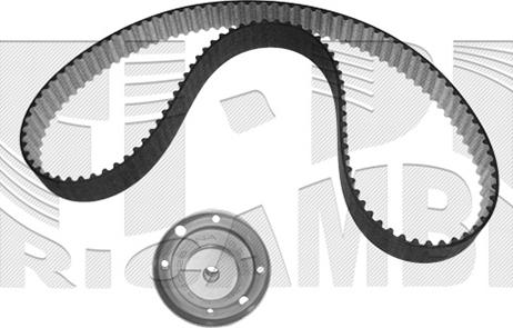 Caliber 0096KW - Kit de distribution cwaw.fr