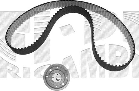 Caliber 0256KW - Kit de distribution cwaw.fr