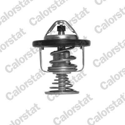 Calorstat by Vernet TH7494.80J - Thermostat d'eau cwaw.fr