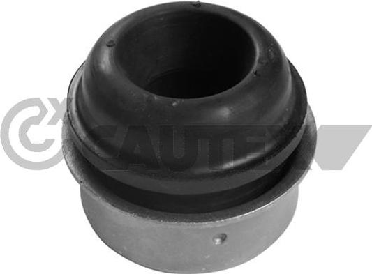 Cautex 482511 - Suspension, corps de l'essieu cwaw.fr