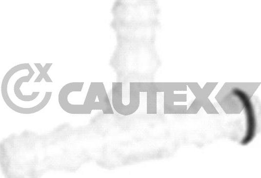 Cautex 767161 - Adaptateur, pompe à eau - nettoyage des phares cwaw.fr