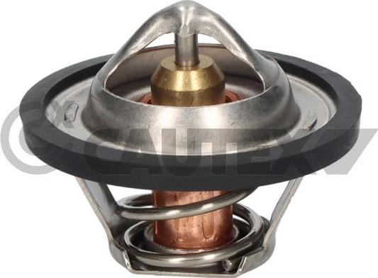 Cautex 770204 - Thermostat d'eau cwaw.fr