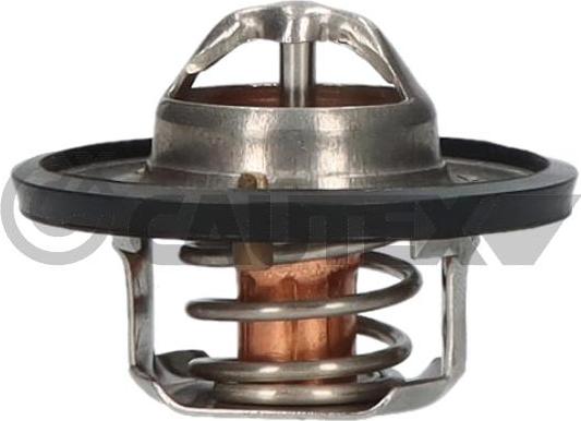 Cautex 771867 - Thermostat d'eau cwaw.fr