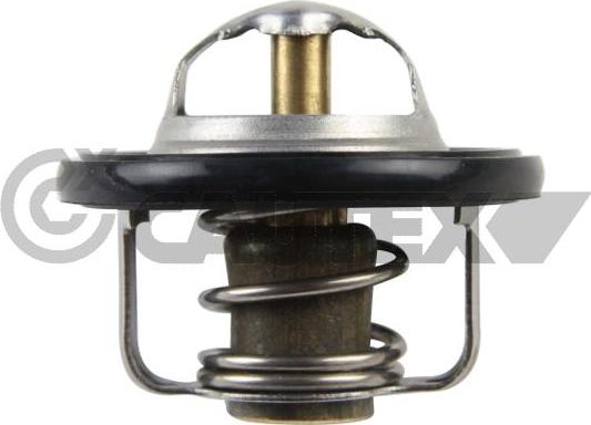 Cautex 772124 - Thermostat d'eau cwaw.fr