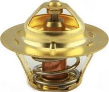 COGEFA France 713.3837N - Thermostat d'eau cwaw.fr