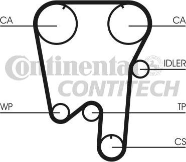 CONTINENTAL CTAM BR CT902 - Courroie de distribution cwaw.fr