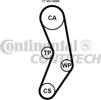 CONTINENTAL CTAM BR CT462 - Courroie de distribution cwaw.fr