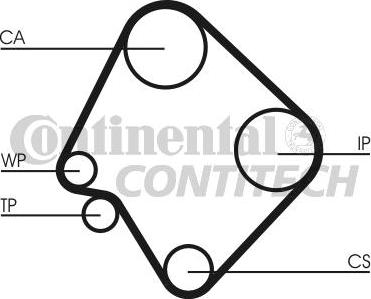 CONTINENTAL CTAM BR CT532 - Courroie de distribution cwaw.fr