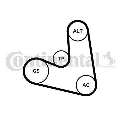 Continental 4PK654K1 - Jeu de courroies trapézoïdales à nervures cwaw.fr