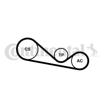 Continental 4PK1237K1 - Jeu de courroies trapézoïdales à nervures cwaw.fr