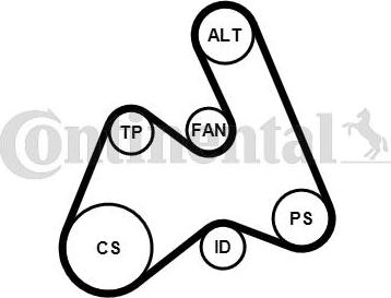 CONTITECH 5PK1592K1 - Jeu de courroies trapézoïdales à nervures cwaw.fr