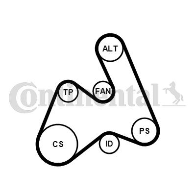 Continental 5PK1592WP1 - Pompe à eau+Jeu de courroie trapézoïdale à nervures cwaw.fr