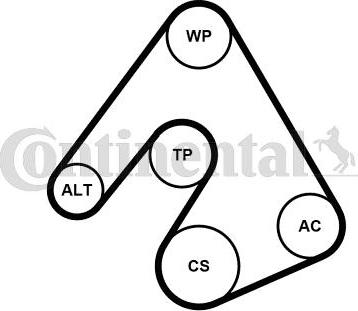 CONTITECH 6PK2490WP1 - Pompe à eau+Jeu de courroie trapézoïdale à nervures cwaw.fr