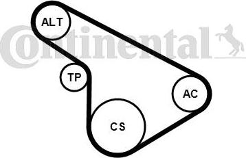 CONTITECH 5PK1212K1 - Jeu de courroies trapézoïdales à nervures cwaw.fr