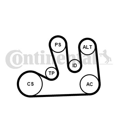 Continental 5PK1750WP1 - Pompe à eau+Jeu de courroie trapézoïdale à nervures cwaw.fr