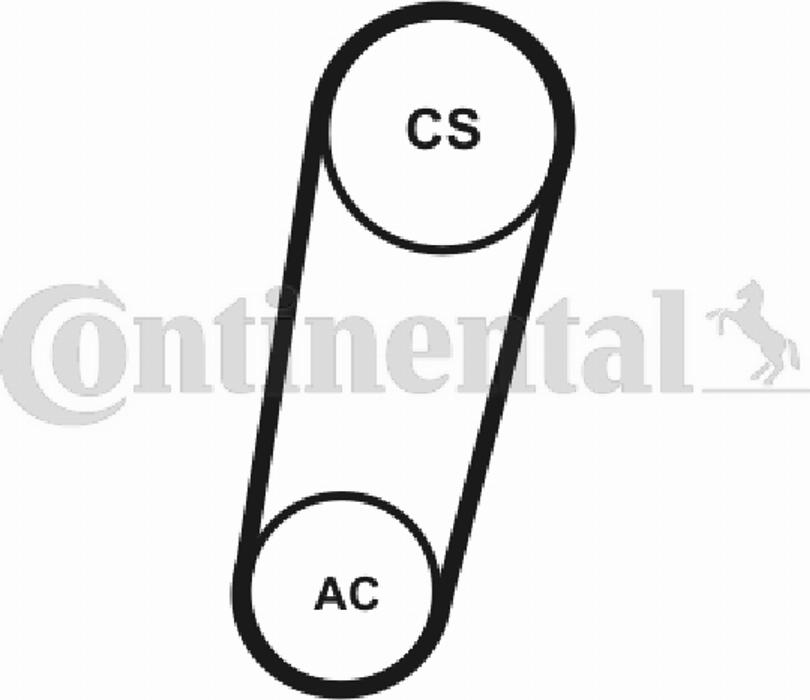 CONTITECH 5PK705T1 - Courroie trapézoïdale à nervures cwaw.fr