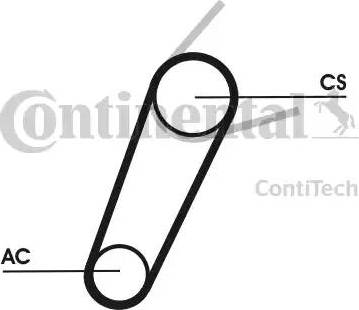 Continental 5PK711 ELAST T1 - Courroie trapézoïdale à nervures cwaw.fr