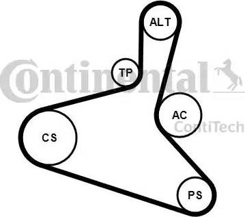 Continental 6DPK1195K2 - Jeu de courroies trapézoïdales à nervures cwaw.fr