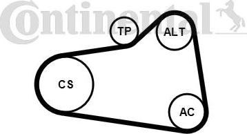CONTITECH 6PK905 EXTRA K1 - Jeu de courroies trapézoïdales à nervures cwaw.fr
