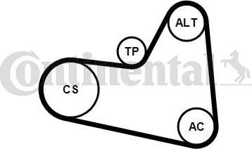 CONTITECH 6PK976K1 - Jeu de courroies trapézoïdales à nervures cwaw.fr